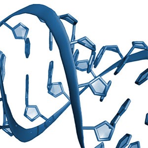 Esempio di una terapia oligonucleotide antisenso