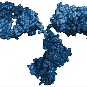 Esempio di un farmaco biologico, noto anche come agente terapeutico a struttura proteica